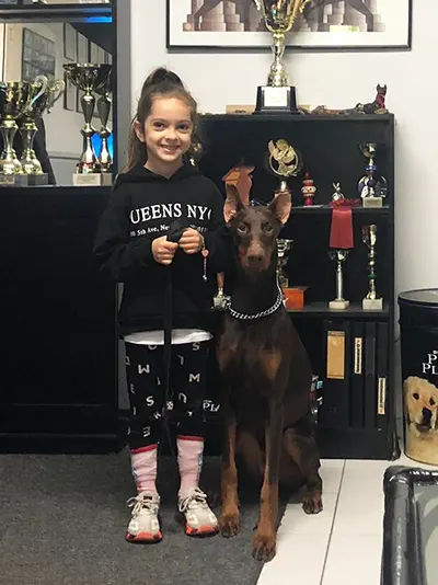 Θέμης Νικολάου εκπαιδεύει σκύλο ράτσας Doberman